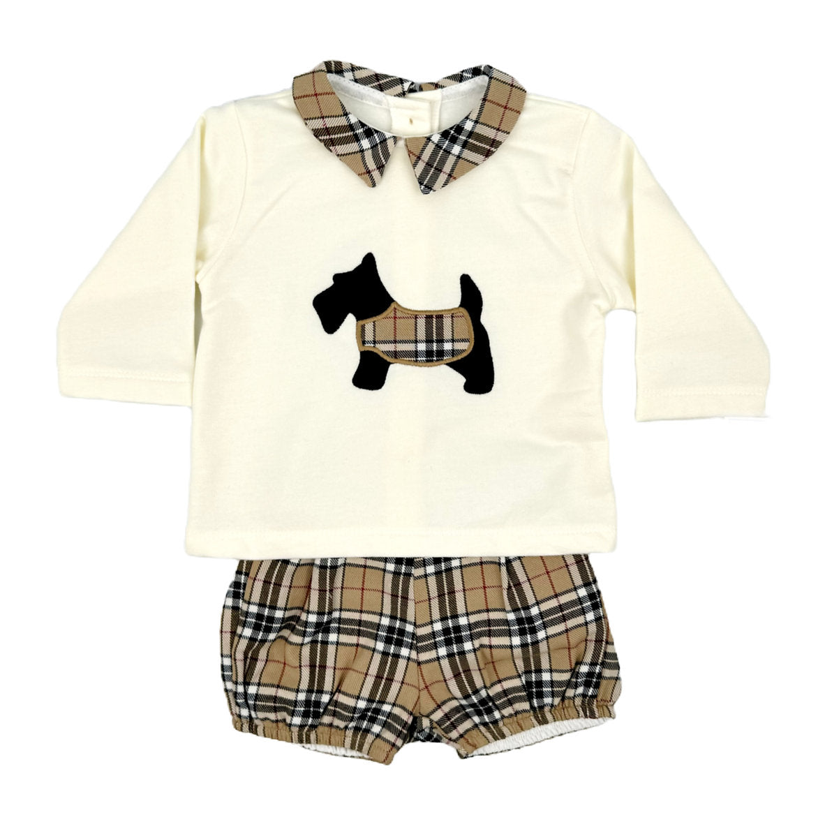 Kleo Kids Boys Sweatshirt and shorts sets