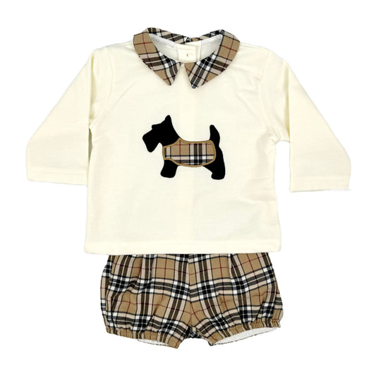 Kleo Kids Boys Sweatshirt and shorts sets